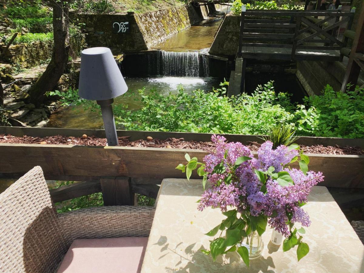 Garni Hotel Vir Врнячка-Баня Екстер'єр фото